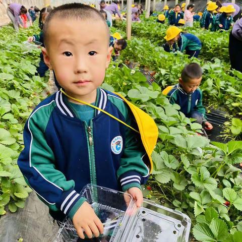 ❤️爱是陪伴🙌🏻  爱是引导👉🏻频繁记录，因为值得，弘毅二班—小可爱来报到了