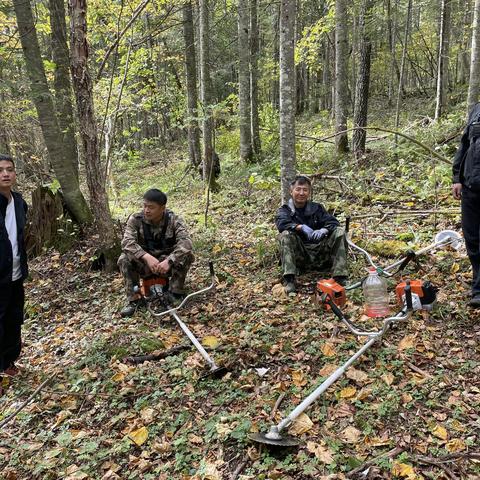 天然林后备资源培育补植补造割灌作业