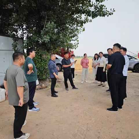 河洛镇:田间调研良安策，麦浪之中绘丰年——人大代表开展粮食安全专项调研活动
