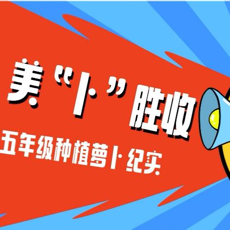 【遇见萝卜，美“卜”胜收】—— 禹州市开元小学五年级种植萝卜纪实