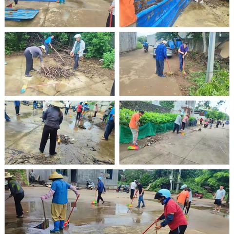 高堂村委会开展预防登革热、基孔肯雅热及环境卫生整治工作