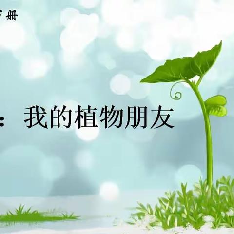 【优秀作业亮风采】 ——练笔《我的植物朋友》