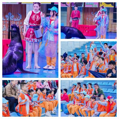 2025年文昌市罗豆农场中心小学"感悟东坡文化 探索海洋奥秘"主题研学实践活动