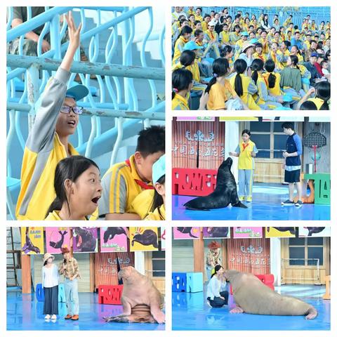 2025年儋州市那大镇第六小学“领略非遗魅力 探索海洋奥秘”主题春季研学实践活动