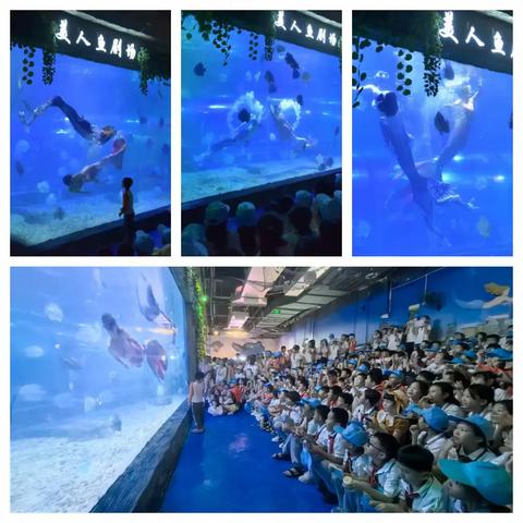 “亲近海洋生灵 研读五公历史 传承廉洁精神”2025年文昌市新桥中心学校研学实践活动