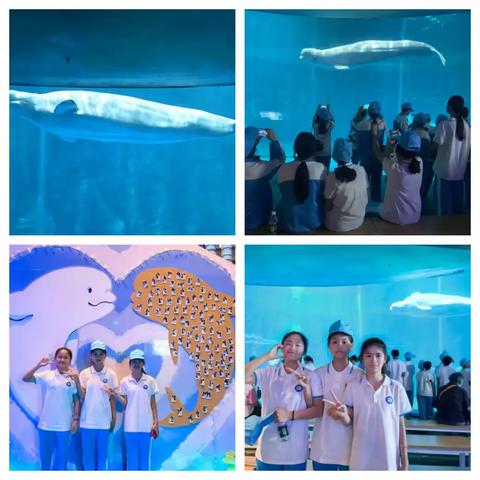 乐东千家中学2025年春季“探索海洋奥秘 树立生态意识”研学活动