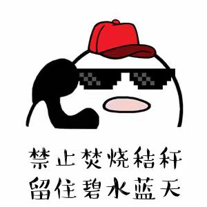 秸秆禁烧宣传   太平镇在行动