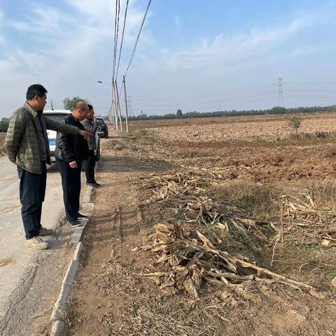 太平镇各村新一轮农村人居环境整治及秋冬季大气污染防治工作