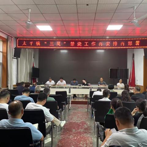 多措并举护“三夏”，禁烧防火保丰收——太平镇禁烧工作再安排
