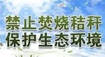 三夏送清凉，慰问暖人心——太平镇向各防火执勤点送慰问