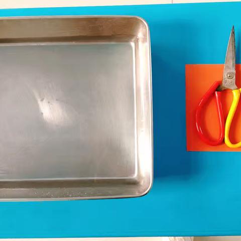 “花花世界”主题活动———科学小实验《水中开花》