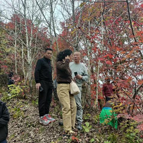 秋日山林行：邂逅色彩与温情