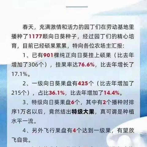 来日方长暂作别，循光而往踏歌行——郴州一中北校区2002班毕业记录