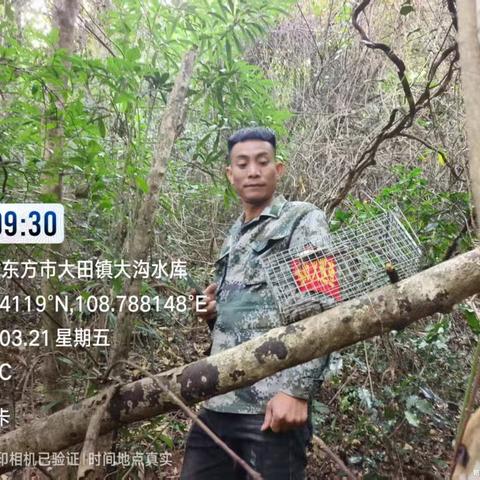 大田公益林管护站开展强化珍稀频危野生动物及其栖息地保护工作