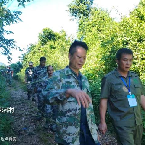 森林防火，人人有责。