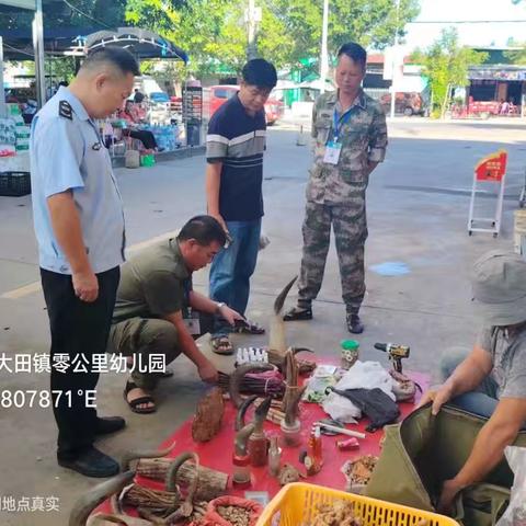 大田公益林管护站开展“2025清风行动” 加强野生动物保护工作