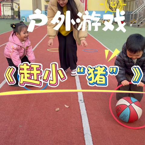 【三幼】托一班11月24日～12月5日活动集锦