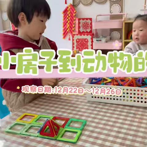 【三幼】托班区域视频与解读（李莹）