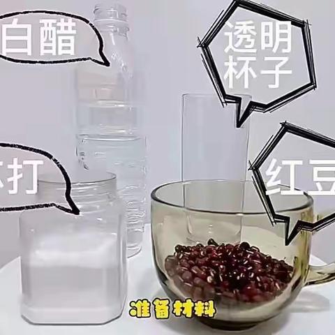 小班科学实验：《会跳舞的豆子》