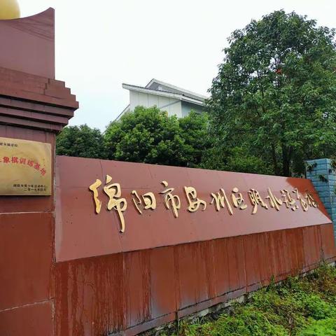 绵阳市安州区雎水镇小学宣传学习《未成年人网络保护条例》