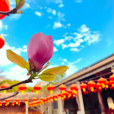 浅谈“屎”之所以成为“屎”的原因——参加青春健康教育省级师资认证有感