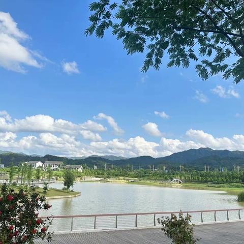 “书香志远，用心成长”记东江源小学四4班户外读书会