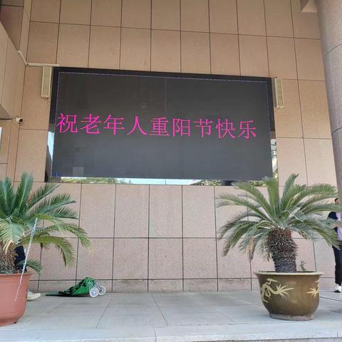 欢乐过重阳    情暖老人心
