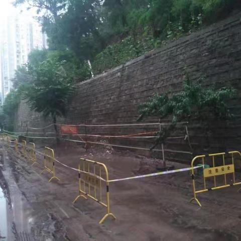 河西街道“汛”速行动，筑牢防汛安全墙
