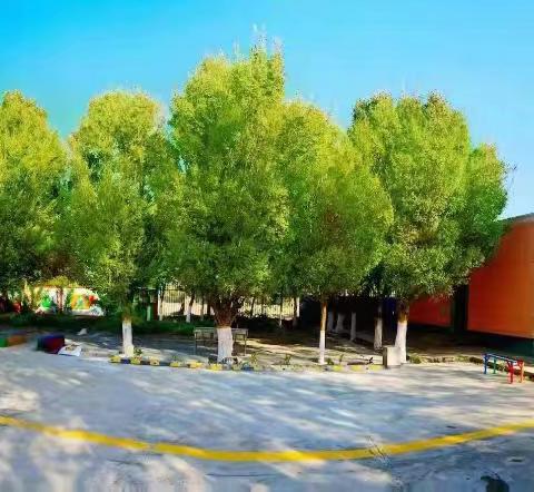 “语”你相约，“音”你同行——托克逊县第三小学教师普通话培训纪实（三）