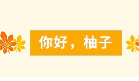 北城中心幼儿园大二班“你好！柚子”中草药课程故事