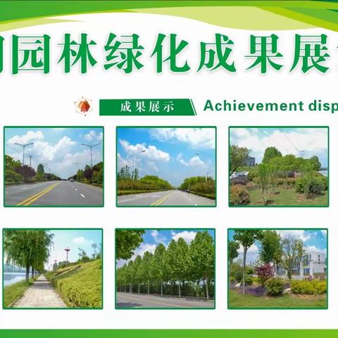 服务发展大局，擎画大美枣阳                   ——沁鑫建设集团2023年绿化成果展