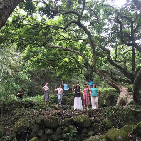 晨游古榄园 午聚优雅阁 记大富乐队增城从化快乐之旅