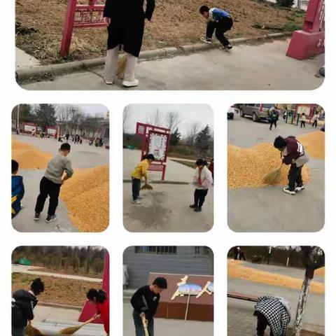 我的社区劳动日记 五1班第七周