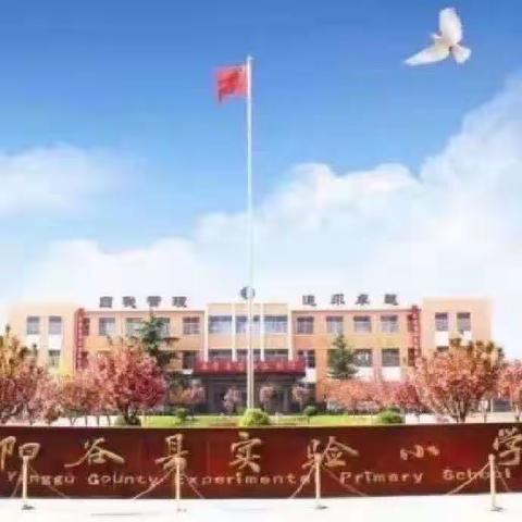 浸润数学文化       乐享数学之趣——阳谷县实验小学数学文化汇报课活动