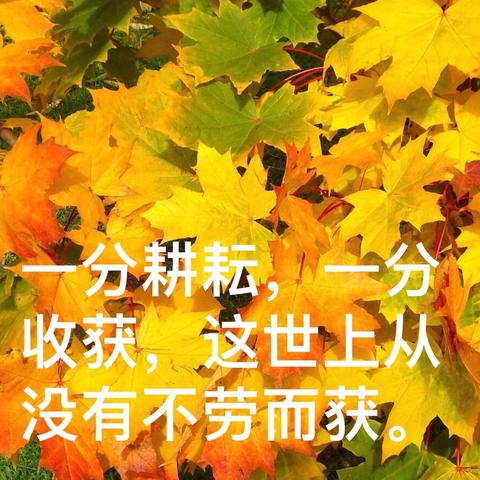 【岞山皂角树小学】区级教研员教学视导：促进教师成长与教学质量提升