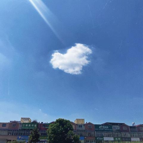 龙行龘龘 前程朤朤——五（2）班期末总结