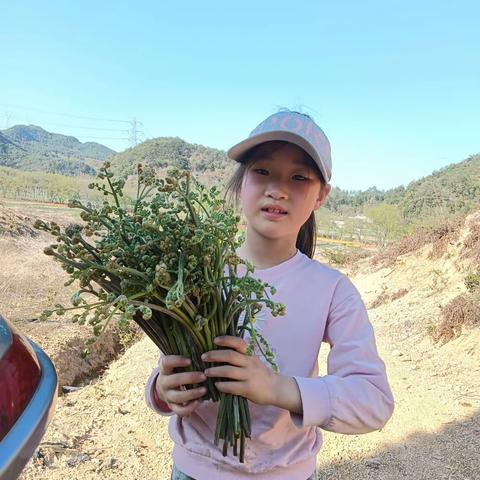 舌尖上的春天——野菜探索之旅