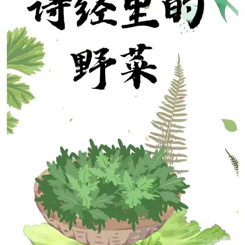 小螺号幼儿园大一班班本课程——《寻找诗经中的野菜》