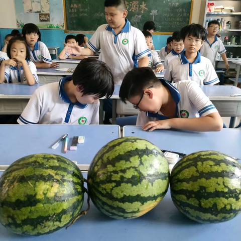 关爱学生幸福成长||肥乡区芳馨学校开展炎炎夏日，吃瓜不停