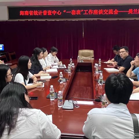 海南省统计普查中心“一套表”工作座谈交流会——美兰区专场