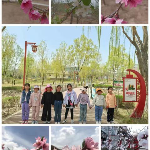 寻春记 ——二（3）班“相约春天”综合主题实践活动