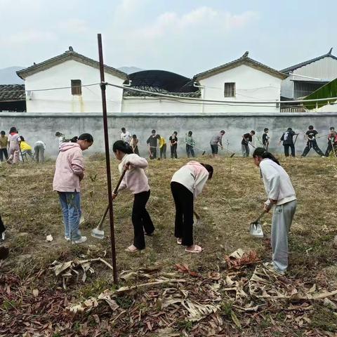 勐连小学劳动实践