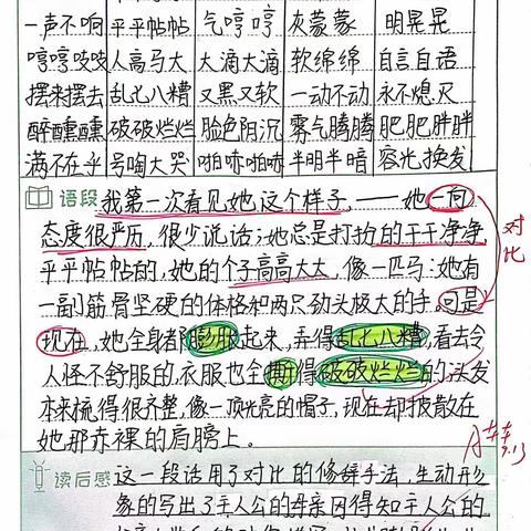 小课题学生作品汇总