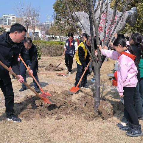 “植”此青绿  共“树”春晖  ———洋河新区仓集小学党支部党员冬训活动