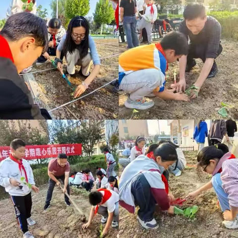 品秋耕之乐    享劳动之趣 ‍——洋河新区仓集小学2024年秋季学期“蔬心乐园”开园仪式