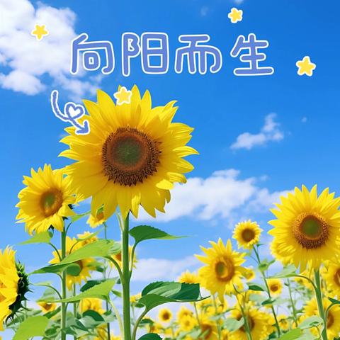 赋能班主任  护航学生心灵 ‍——仓集小学开展心理健康专项指导活动