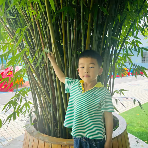 “语”润童心 以“言”提能一一拾回桥镇中心幼儿园“童声童趣”萌娃讲故事——《三只小猪》