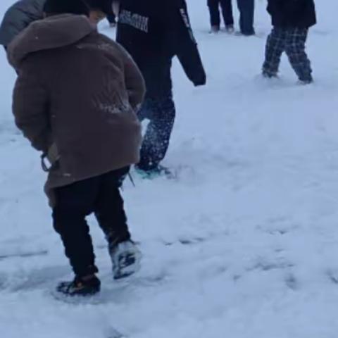 西半屯镇书村小学      雪后的快乐