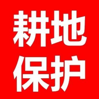 “严”字当头 “实”字托底 ——董王庄乡全力做好耕地保护工作