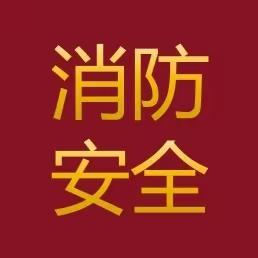 董王庄乡开展“预防为主 生命至上”消防安全宣传活动